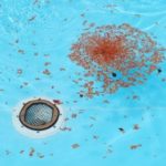 Water Jetter Blocked Drain