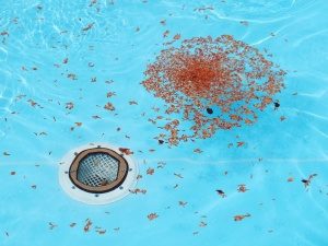 Water Jetter Blocked Drain